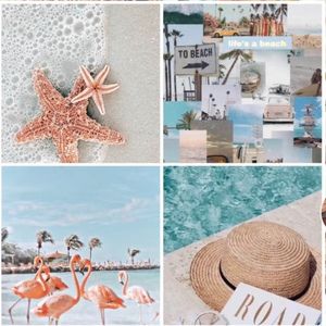 Meet your Posher, Elise